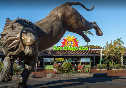 San diego zoo